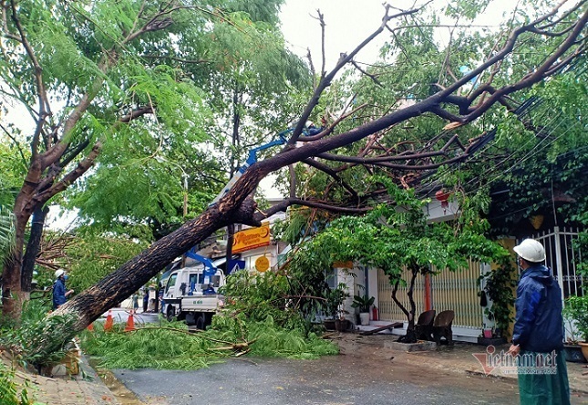 Bão vào đất liền, cây đổ ngổn ngang, nhà tốc mái cả loạt ở miền Trung