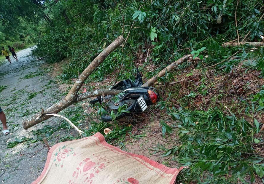 Bão số 5 đổ bộ miền Trung: 1 người chết, nhiều người bị thương