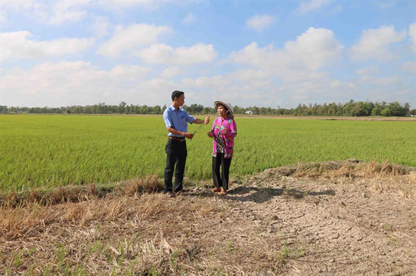 Tra Vinh loses $43m to saltwater intrusion, drought damage