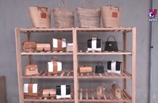 Sending grass-based bags to the world