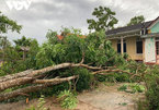 Storm Noul death toll rises to 6, Thua Thien-Hue hardest hit