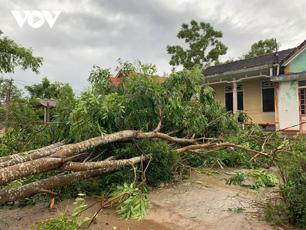 Storm Noul death toll rises to 6, Thua Thien-Hue hardest hit