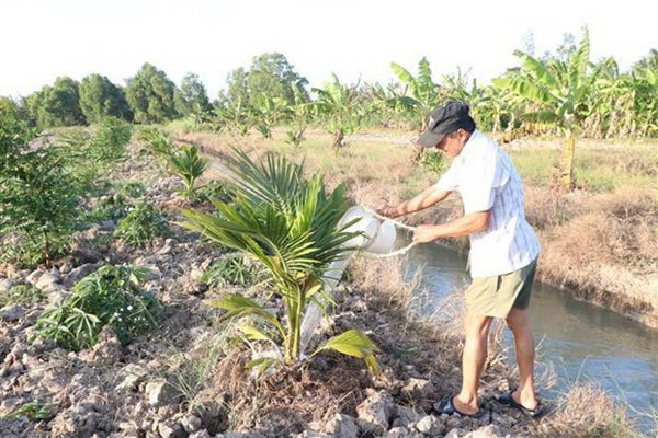 India funds seven water projects in Mekong Delta