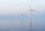 Vietnam has great potential for wind power
