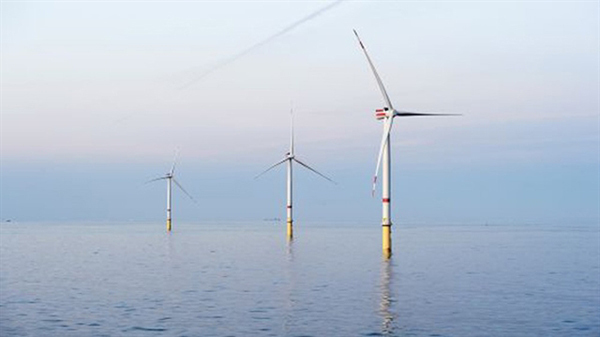 Vietnam has great potential for wind power