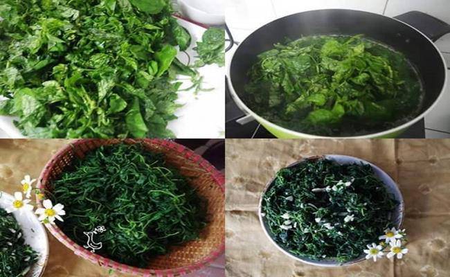 Ở Việt Nam có 5 loại hoa ăn được, giá chỉ vỏn vẹn... 0 đồng