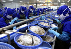 Bright prospects for fisheries sector in final quarter