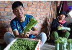 Young farmer succeeds with growing organic asparagus