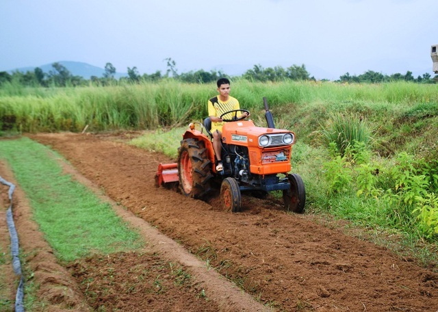 Chàng trai đi Nhật về dùng ớt, tỏi, rau răm… chế thuốc trị bệnh cho rau