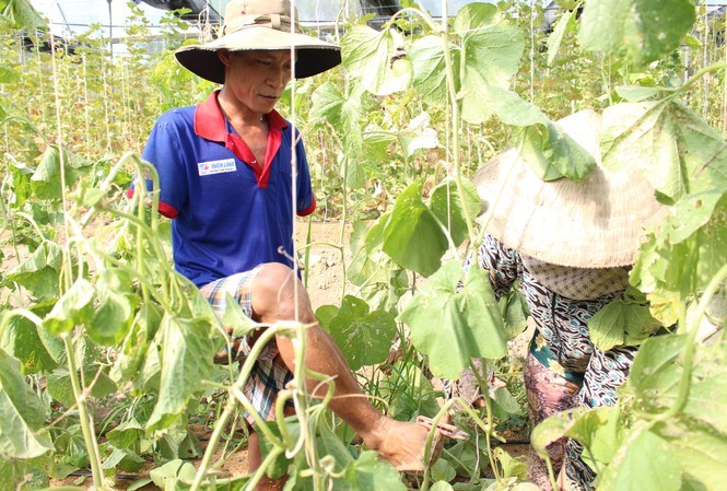 Mất cả 2 tay, ông chủ công ty máy tính khởi nghiệp với nông nghiệp cao