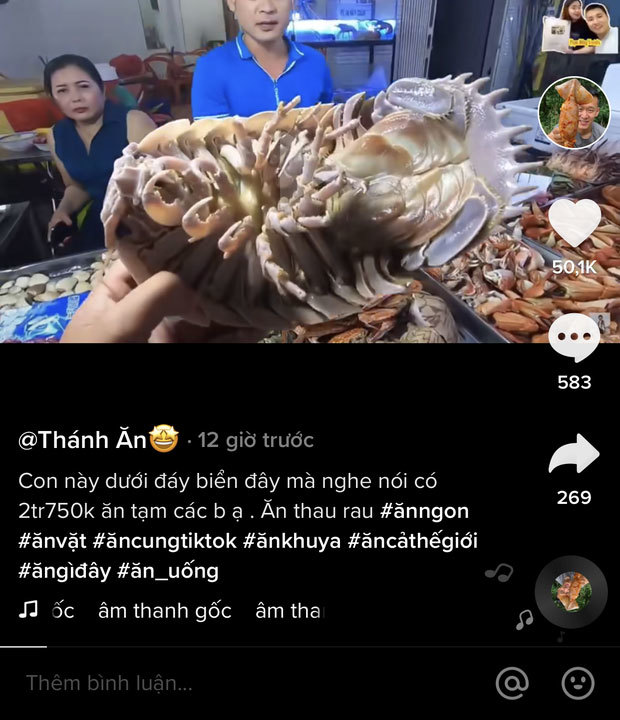Loại hải sản được cho là ngon hơn cả tôm hùm ở Việt Nam, vì hiếm có khó tìm nên được rao bán với giá “đắt xắt ra miếng”? - Ảnh 1.