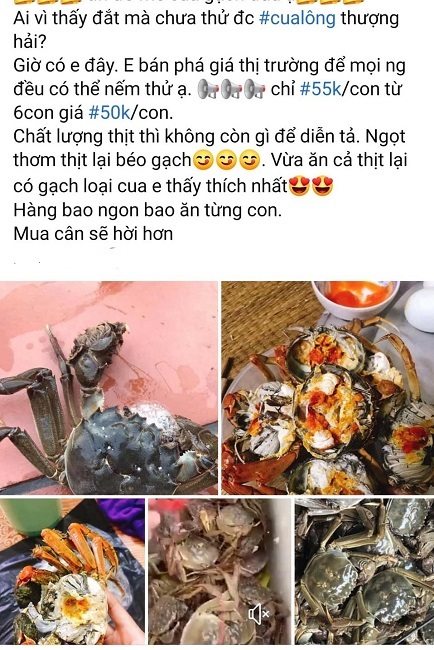 Loại cua 'nhà giàu' bán tràn lan chỉ từ 45.000 đồng/con, tiểu thương 'tiết lộ' sự thật