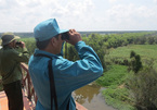 Tram Chim National Park’s endangered birds need protection as habitats shrink