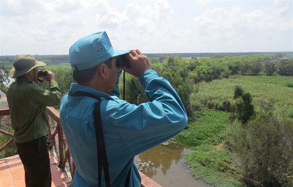 Tram Chim National Park’s endangered birds need protection as habitats shrink