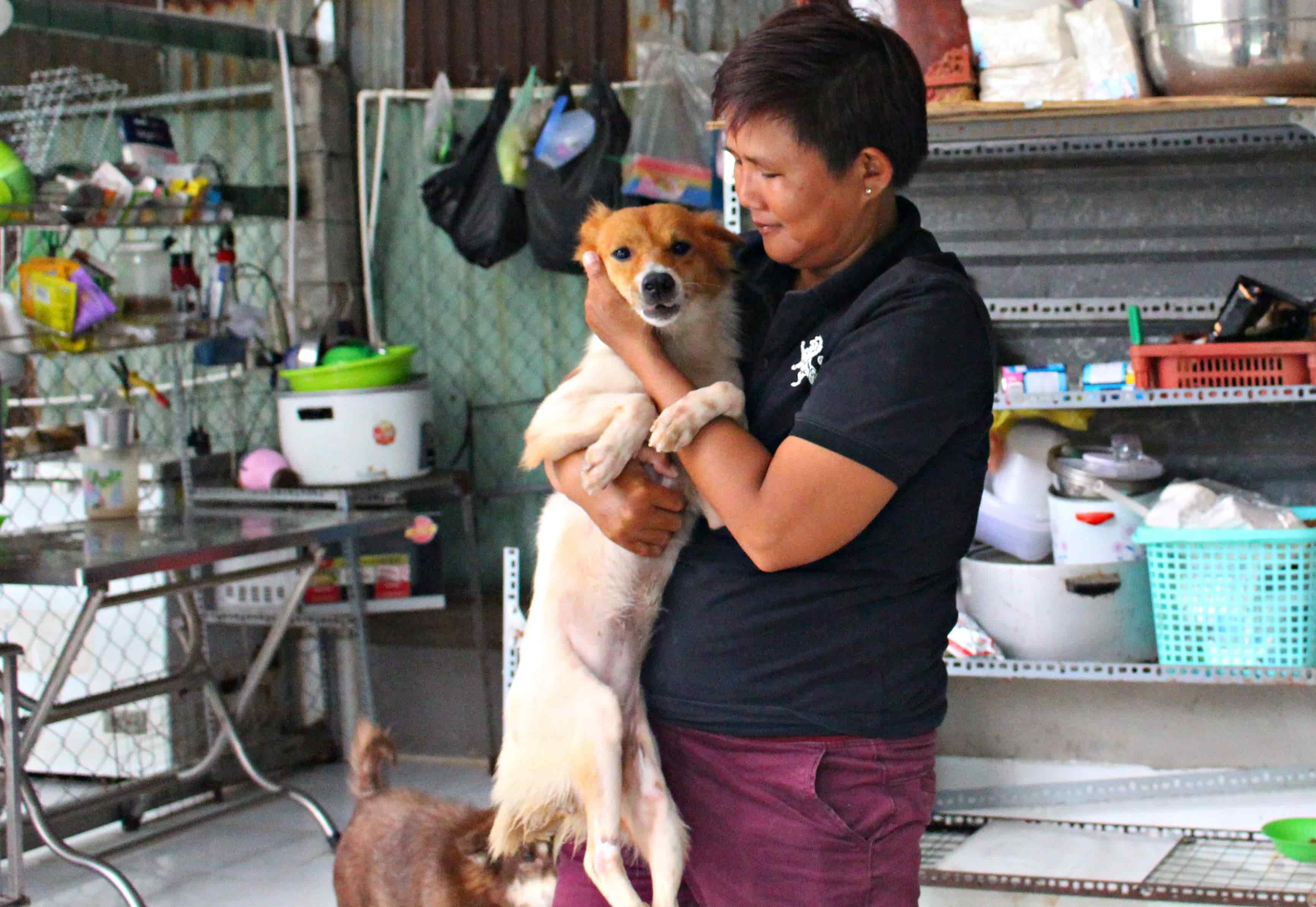 Người phụ nữ nặng lòng với chó mèo hoang, làm xe lăn cho thú cưng bị tật