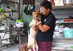 Người phụ nữ nặng lòng với chó mèo hoang, làm xe lăn cho thú cưng bị tật