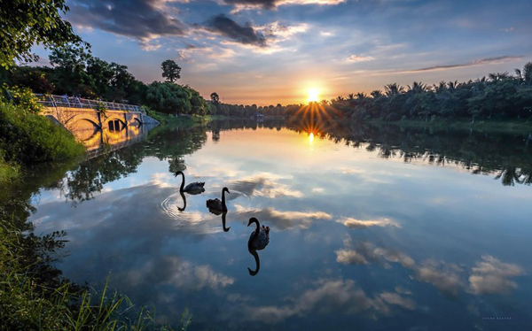 Bình minh tuyệt đẹp ở Ecopark