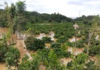 Mưa lũ gây ngập lụt, sạt lở cô lập nhiều vùng ở Đắk Nông