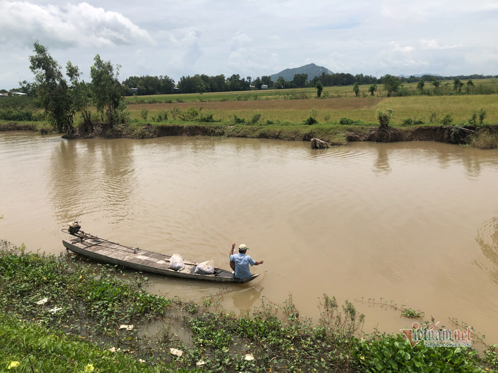 Miền Tây 'đói lũ': Đồng ruộng bỏ hoang, cá tôm èo ọt