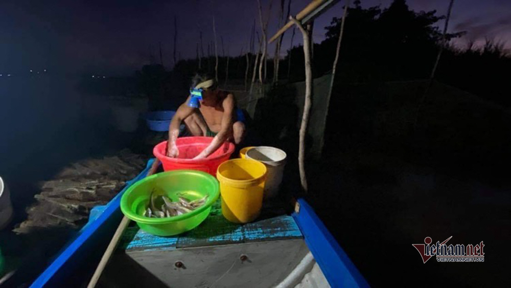 Miền Tây 'đói lũ': Đồng ruộng bỏ hoang, cá tôm èo ọt