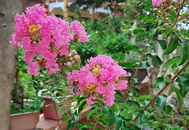 Phụ nữ muốn chồng tôn trọng mình cần loại bỏ sai lầm này