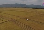 Agriculture: Backbone of Vietnam’s economy