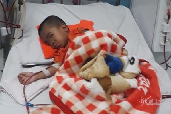 Mẹ trẻ ung thư xin cộng đồng cứu con trai 5 tuổi bị suy thận mạn