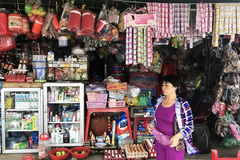 Chợ truyền thống, tiệm tạp hóa vẫn... sống khỏe, cử nhân kinh tế ở nhà bán tạp hóa