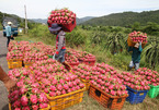 September surprise: fruit prices soar to record high