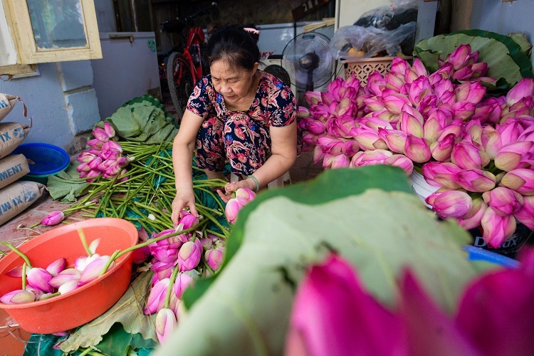 Đại gia Hà Nội tìm mua 'đệ nhất trà' đắt nhất Việt Nam giá 10 triệu đồng/kg