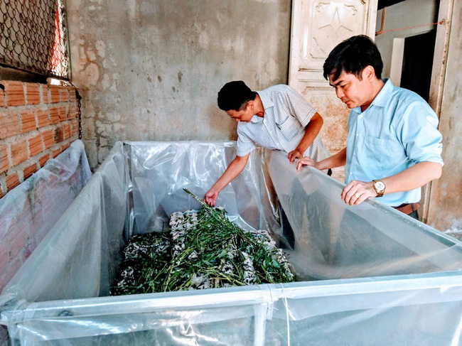 Nuôi dê tin tức hình ảnh video bình luận mới nhất
