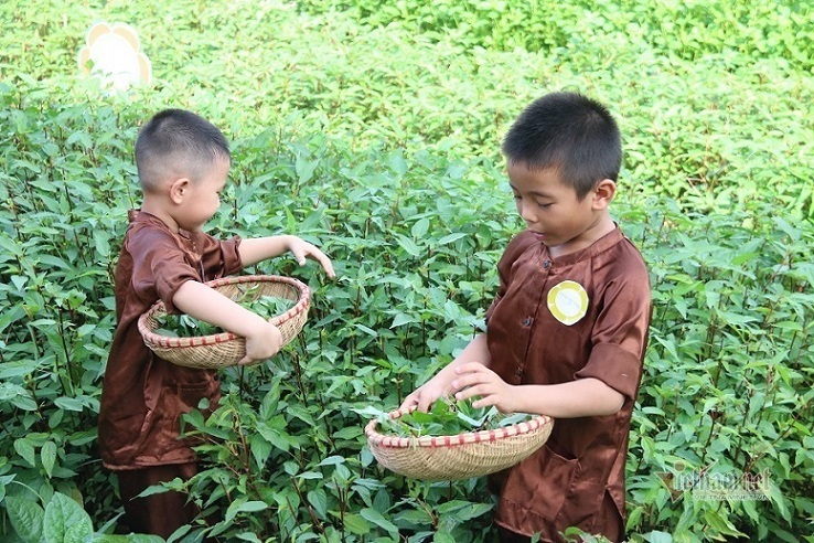 Bộ Giáo dục tính hướng nghiệp cho học sinh từ cấp tiểu học