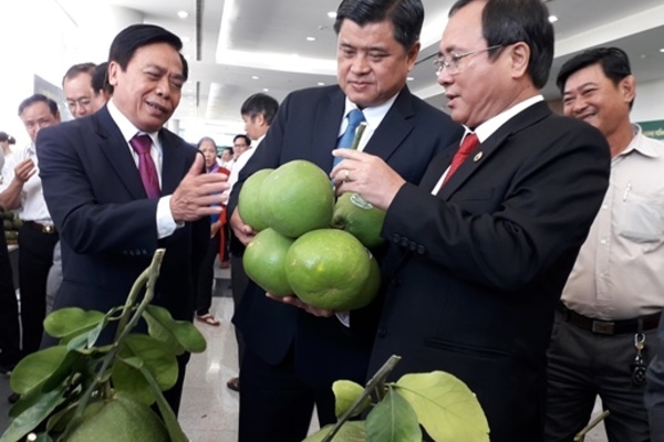 Bình Dương: Triển khai đồng bộ OCOP để hình thành những vùng hàng hóa lớn