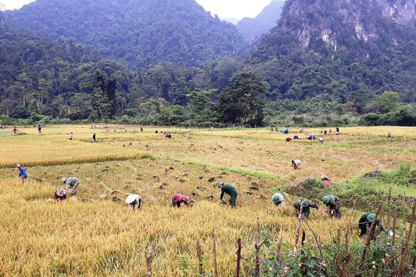 Vùng cao đổi mới nhờ mô hình “Ánh sáng vùng biên”