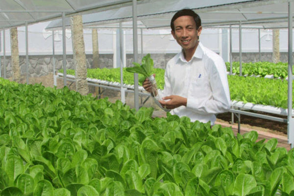 Xóa đói giảm nghèo nhờ xây dựng nền nông nghiệp sạch