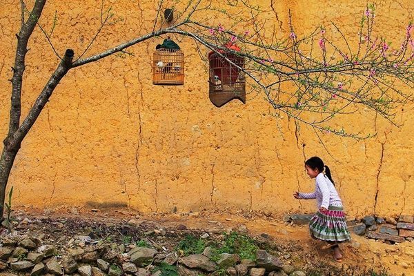 Chương trình 135: Giúp bà con vươn lên thoát nghèo ở khắp các địa phương