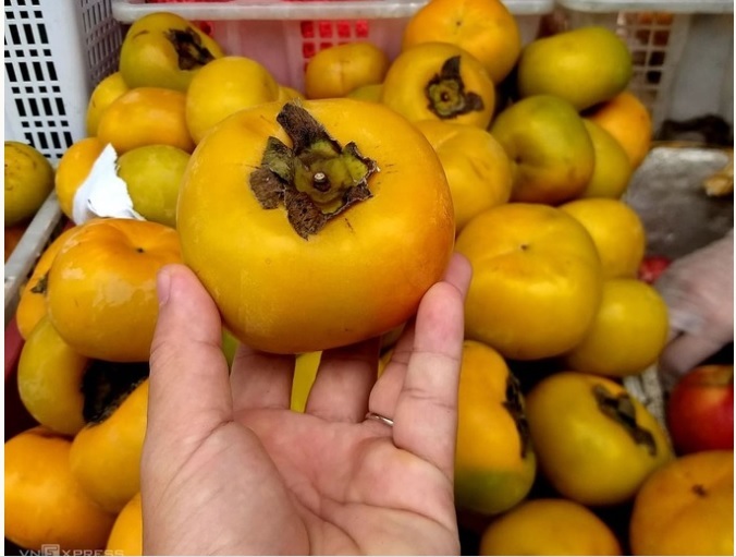 Nhận diện hồng Đà Lạt: Đừng nhầm với hồng Trung Quốc