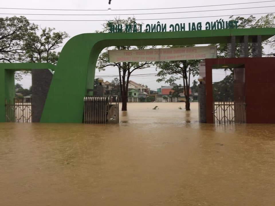 ĐH Huế và ĐH Đà Nẵng lùi thời gian nhập học vì mưa lũ