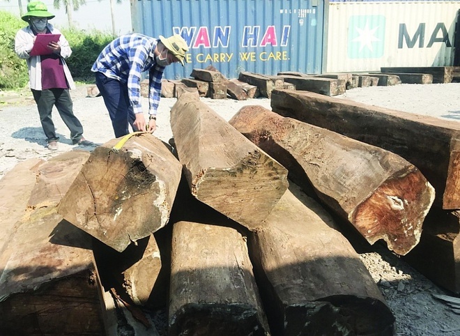 Tìm chủ lô hàng 60 container gỗ bị 'bỏ quên' tại cảng