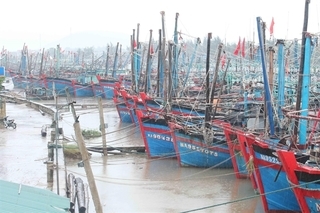 Northeastern localities brace for impact of typhoon Nangka