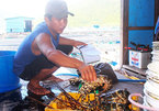 Tôm hùm, ốc hương tăng giá, ngư dân miền Trung tranh thủ bán chạy... bão