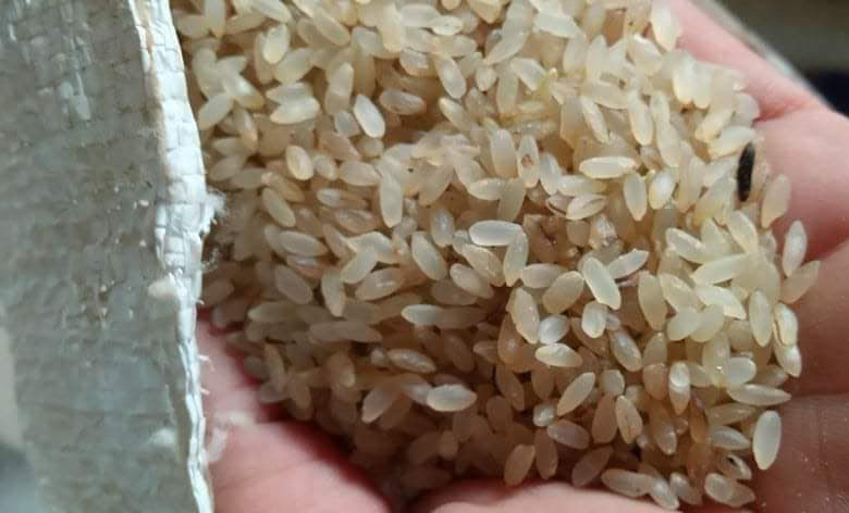 Đặc sản Yên Bái: Loại gạo ngậm sương, không dám phơi nắng