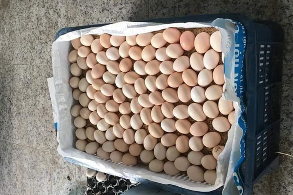 Trứng gà ác đắt gấp đôi trứng thường – VietNamNet
