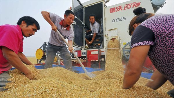 Trung Quốc dẫn dắt cuộc đua 'vét hàng' trước mùa đông
