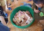 Phụ huynh tố thịt gà ôi thiu đưa vào trường mầm non ở Phú Thọ