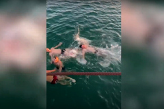 Clip chàng trai liệt chân lao xuống biển cứu người đuối nước nóng nhất mạng xã hội