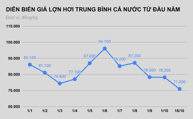 Hà Nam bác tin xuất hiện giá lợn hơi 55.000 đồng/kg