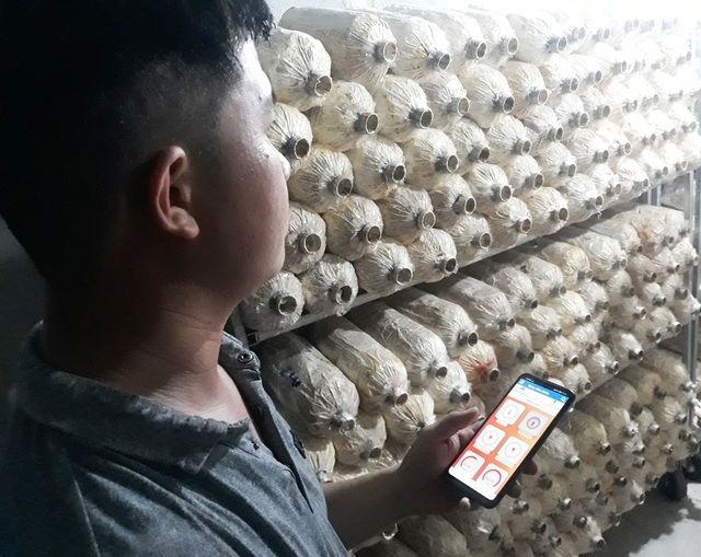 Kỳ lạ: 'Rót' 500 triệu đồng, ngồi một chỗ 'điều khiển' nấm mọc theo ý muốn