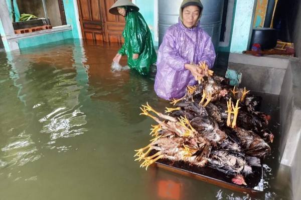 Đường phố Hà Tĩnh biến thành sông, lệnh sơ tán hàng nghìn hộ dân