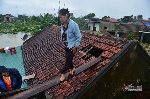 Lũ lớn lịch sử ở Quảng Bình, người dân leo nóc nhà chờ ứng cứu